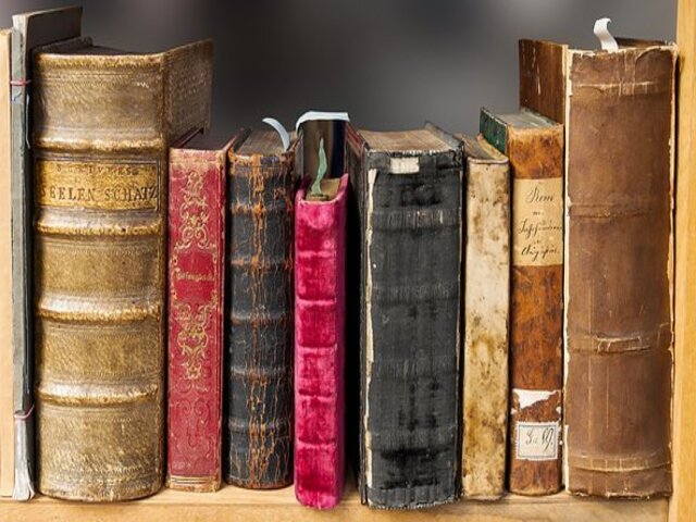 Borgolungo d'autore - Book